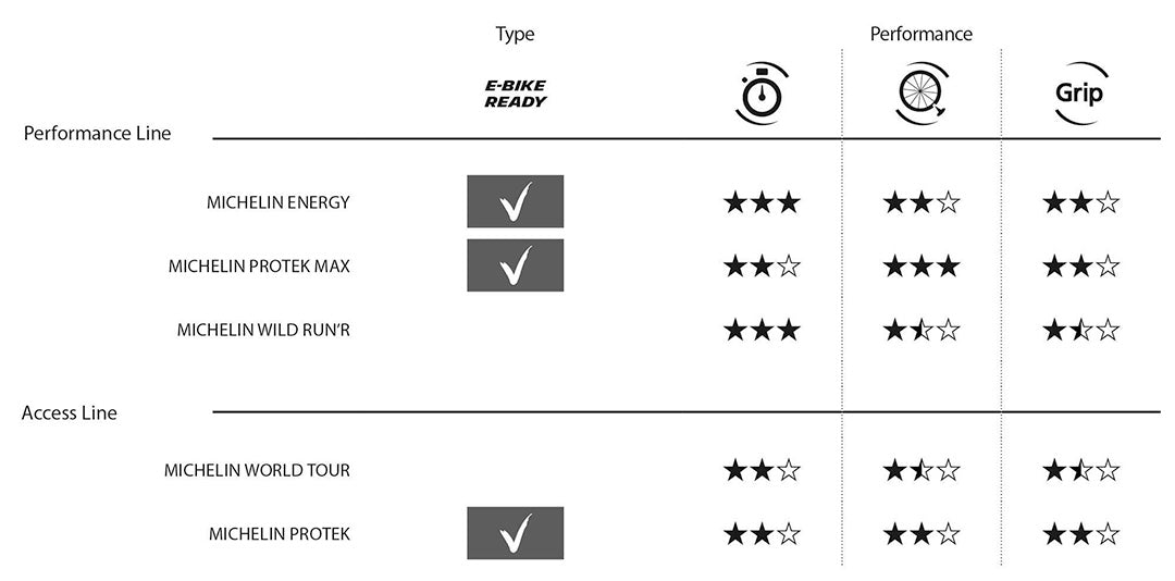 Michelin Tyre Protek Access Line