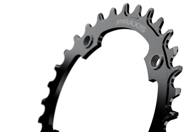 Praxis Chainring MTB E-Ring Steel 104 BCD 1x NW